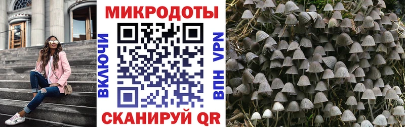 Псилоцибиновые грибы ЛСД  Усолье 